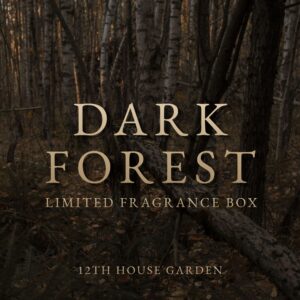Dark Forest - limited fragrance box
