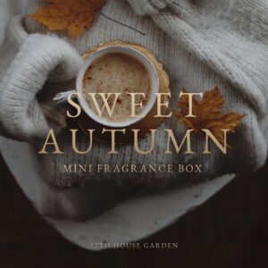 SWEET AUTUMN - mini fragrance box