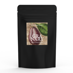 Granary ✦ wosk sojowy o zapachu zimowej śliwki